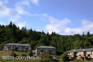 820 Quiet  Creek Drive, Homer, AK 99603