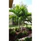 7925 SW 119 RD, Miami, FL 33183 ID:7231354