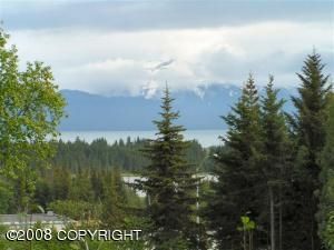 4430 E Hill Road, Homer, AK 99603