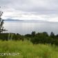 2528 Rene Court, Homer, AK 99603 ID:6891478