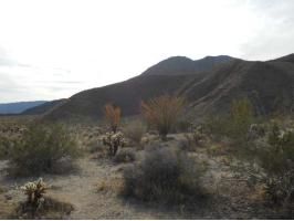 Lot 13  De Anza Trail, Borrego Springs, CA 92004