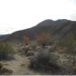 Lot 13  De Anza Trail, Borrego Springs, CA 92004 ID:2019094