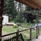 4090 Mattox Road, Homer, AK 99603 ID:6890840