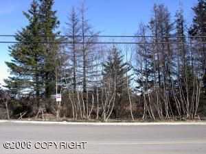 3602 Greatland Street, Homer, AK 99603