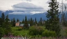 34741 Lowbush Street Homer, AK 99603