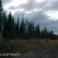 L38 Stacey Street, Homer, AK 99603 ID:6886696