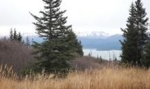 36487 Wild Haven Road Homer, AK 99603