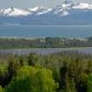 4645 Craftsman Road, Homer, AK 99603 ID:6888245