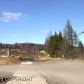 3658 Greatland Street, Homer, AK 99603 ID:6888862