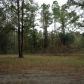 11391 206th St, O Brien, FL 32071 ID:3512912