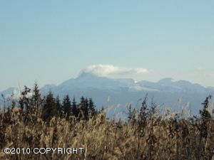 L1 Nimbus Avenue, Homer, AK 99603