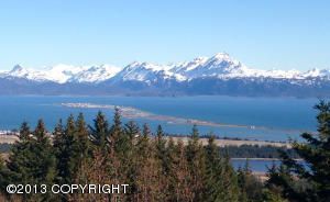 191 Tulin Bluff West, Homer, AK 99603