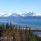 191 Tulin Bluff West, Homer, AK 99603 ID:6888529