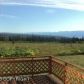 34844 Upland Street, Homer, AK 99603 ID:6888881