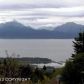 4830 Rosewood Court, Homer, AK 99603 ID:6890290