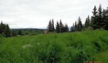 39147 Suchaview Road Homer, AK 99603