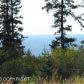 67832 Green Timbers Street, Homer, AK 99603 ID:6890878