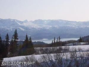 28720 CARIBOU VIEW Lane, Homer, AK 99603