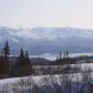 28720 CARIBOU VIEW Lane, Homer, AK 99603 ID:6968834