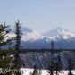 28720 CARIBOU VIEW Lane, Homer, AK 99603 ID:6968835