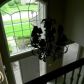 54516 Sassafras Dr, Utica, MI 48315 ID:701338