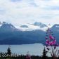 34133 Moonrise Street, Homer, AK 99603 ID:6889443