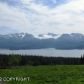 34133 Moonrise Street, Homer, AK 99603 ID:6889446