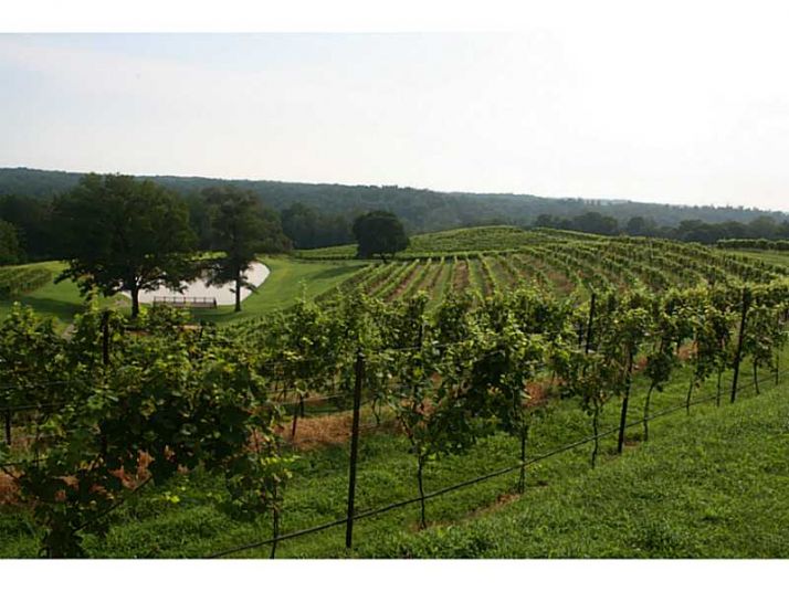 1 Strada Del Vino, Dahlonega, GA 30533