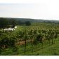 1 Strada Del Vino, Dahlonega, GA 30533 ID:6564262