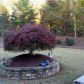 1702 Tipton Court, Acworth, GA 30101 ID:1396146