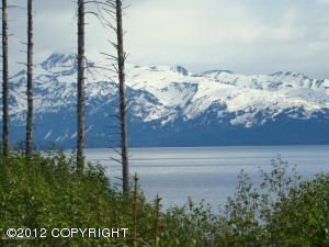 825 Sterling Highway, Homer, AK 99603