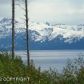 825 Sterling Highway, Homer, AK 99603 ID:6890589