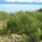 825 Sterling Highway, Homer, AK 99603 ID:6890592