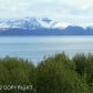 825 Sterling Highway, Homer, AK 99603 ID:6890593