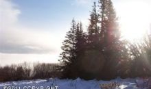 29026 Caribou View Lane Homer, AK 99603