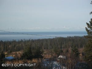 41176 Char Court, Homer, AK 99603