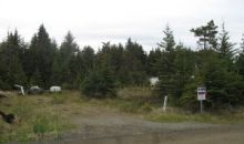 824 Ocean Drive Loop Homer, AK 99603