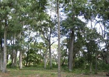 Lot 25 Oakview Subdivision Apn R510, Hilton Head Island, SC 29926