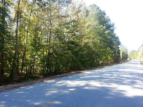 0 Martin Girl Rd Road, Newnan, GA 30263