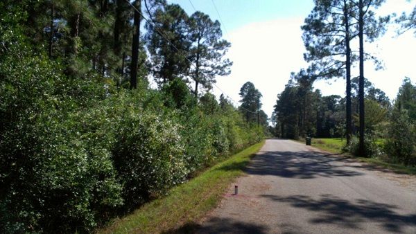 000 Ladda Ct, Milton, FL 32583