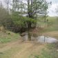 1348 CO RD 1194, Vinemont, AL 35179 ID:7231773