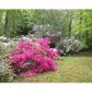 5388 Frazer Road, Buford, GA 30518 ID:7289521