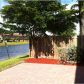 11389 SW 238 ST # 6/56, Homestead, FL 33032 ID:672241