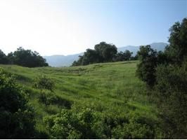 1288 Baldwin Road, Ojai, CA 93023