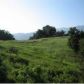 1288 Baldwin Road, Ojai, CA 93023 ID:1152295