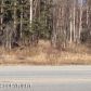 901 N Leatherleaf Loop, Wasilla, AK 99654 ID:7227476