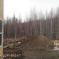 13460 E Hermann Avenue, Palmer, AK 99645 ID:7457643