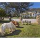 2289 Hermitage Road, Ojai, CA 93023 ID:1152384