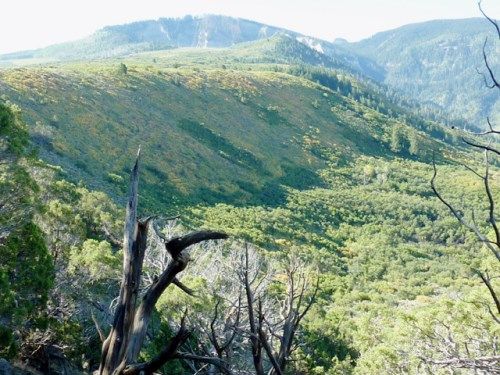 5 Lots Beaver Creek Rd/Cr 317, Rifle, CO 81650