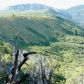 5 Lots Beaver Creek Rd/Cr 317, Rifle, CO 81650 ID:6410317